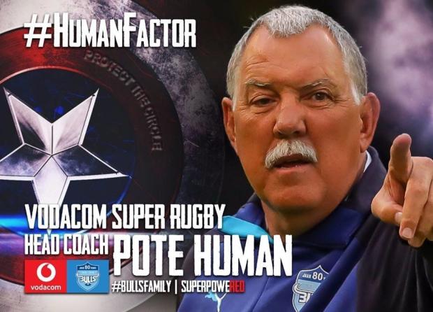 Pote Human Bulls appointment