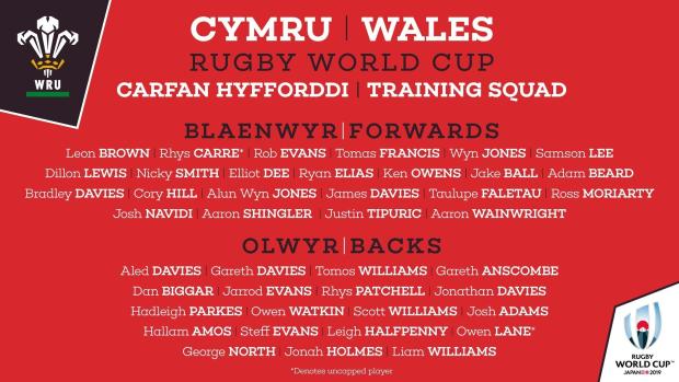 Welsh World Cup training squad