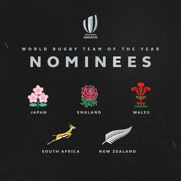 2019 Team of the Year nominees