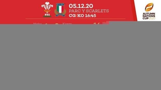 Wales team