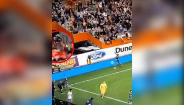 Dunedin fans' fall