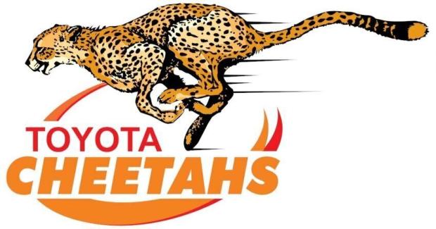 Cheetahs logo