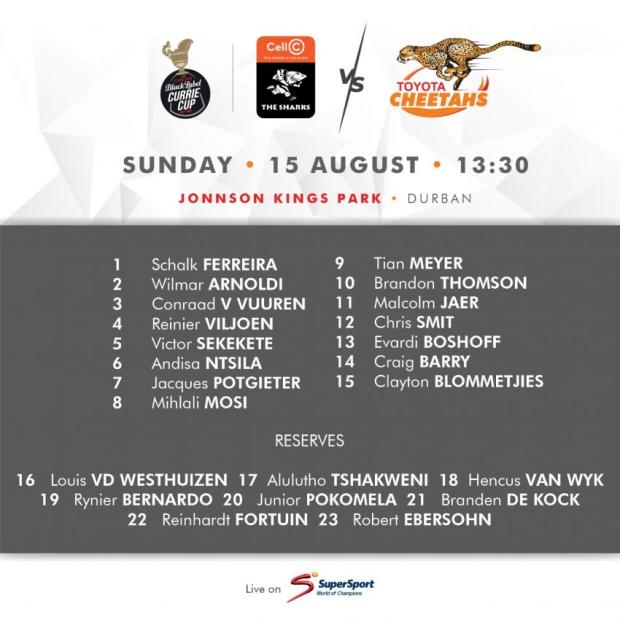 Cheetahs team