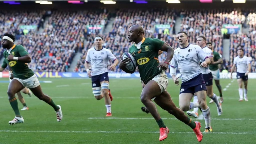 Mapimpi Double Helps Boks Sink Scotland | Rugby365