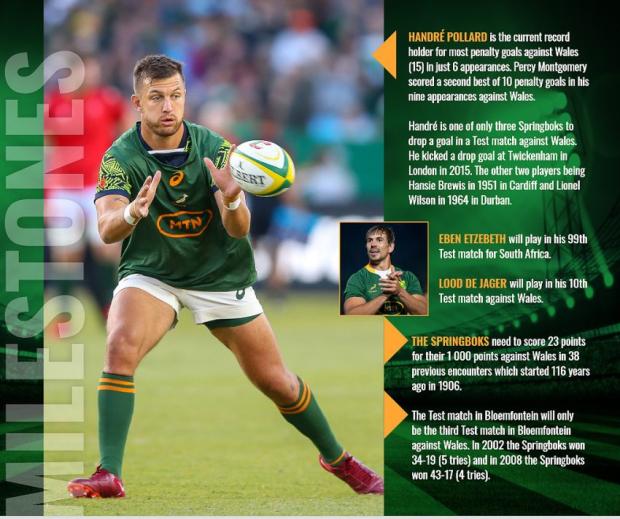 Springbok-milestones---Bloem