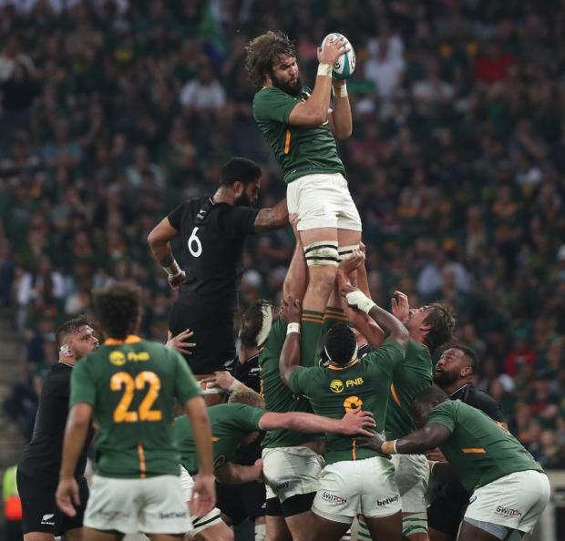 SA-v-NZ