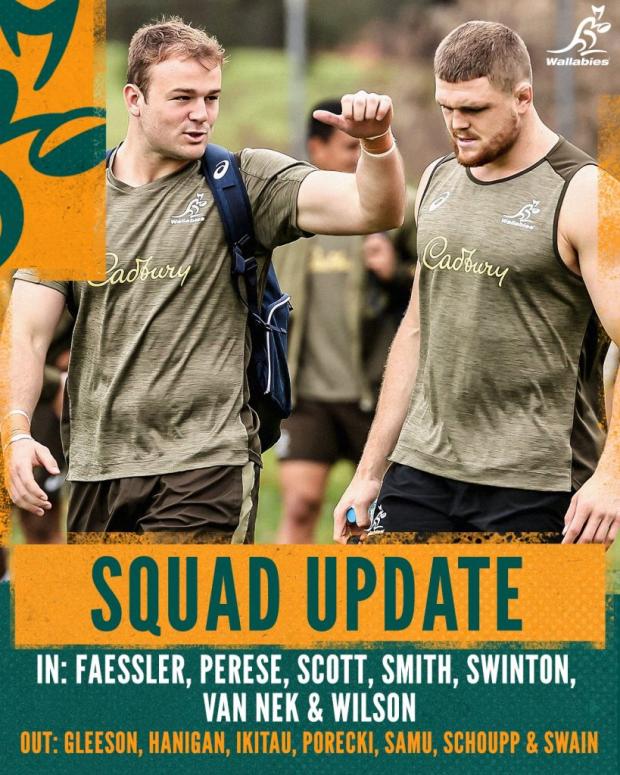 Wallaby squad update