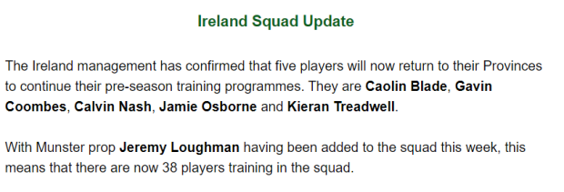 Ireland's World Cup squad gradually taking shape