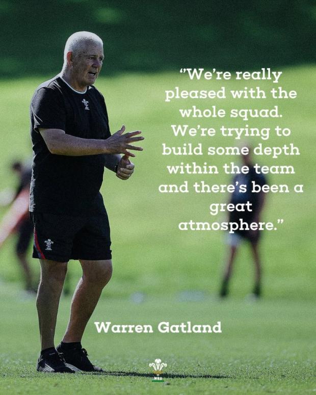 Warren Gatland with quote