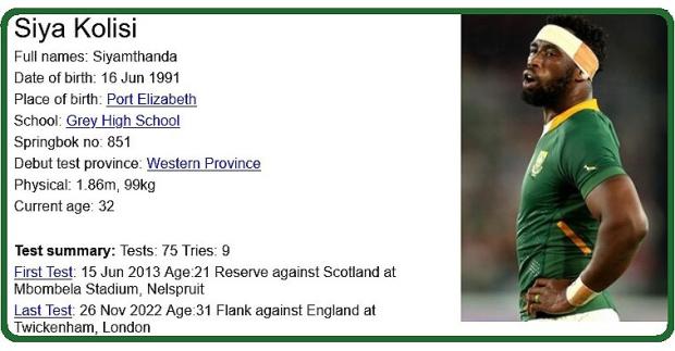 Siya Kolisi mini bio