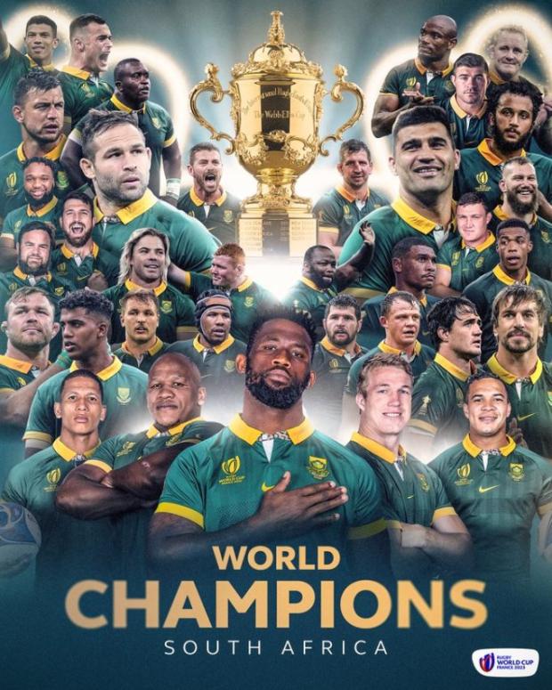 Springbok RWC collage banner