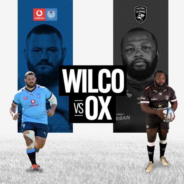Wilco Louw v Ox Nche banner