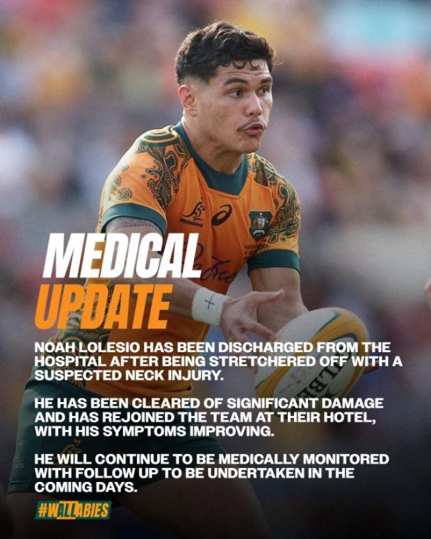 Wallaby injury update