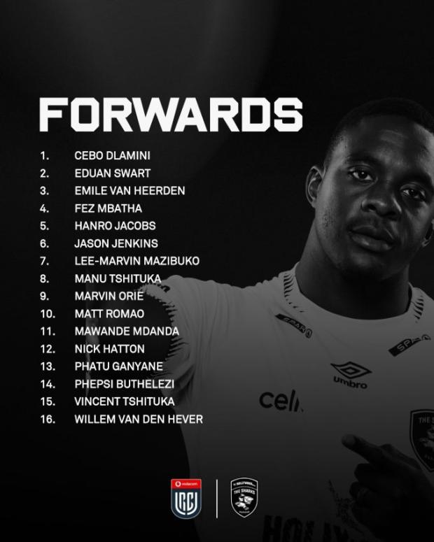 Bok duo and Griquas hero headline Sharks’ touring squad