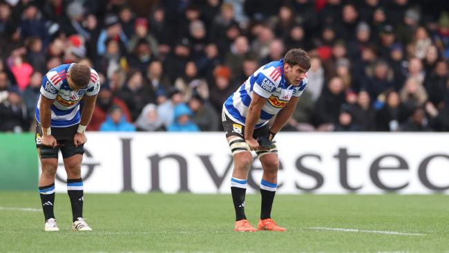 Dobbo reveals timeline for injured players' return