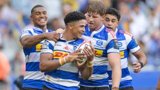 Dobson outlines Stormers’ plan to manage Sacha and Bok stars’ return