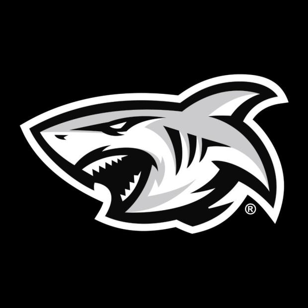 Sharks senior team logo