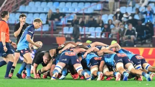 Bulls rope in Stormers prop to bolster front row depth