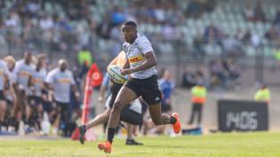 Stormers secure signature of viral winger