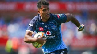Bulls sweat over Bok speedster after Lions demolition