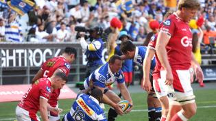 Hooker 'crisis' as Stormers count cost of Scarlets victory