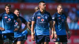 Ackermann hails returning Springboks after Bulls thrash Lions