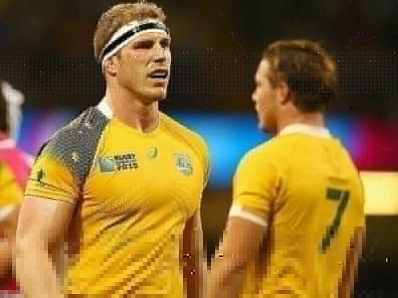 Pocock Hailed As Wallaby Hero - Australia 