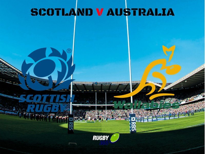 PREVIEW SCOTLAND V AUSTRALIA australia Rugby365