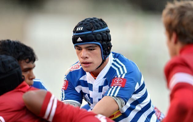 Golden Lions Shine At U13 Sevens Rugby365