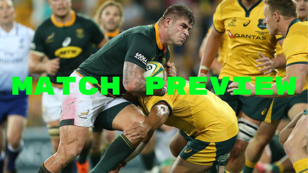 Preview: South Africa V Australia - Australia | Rugby365