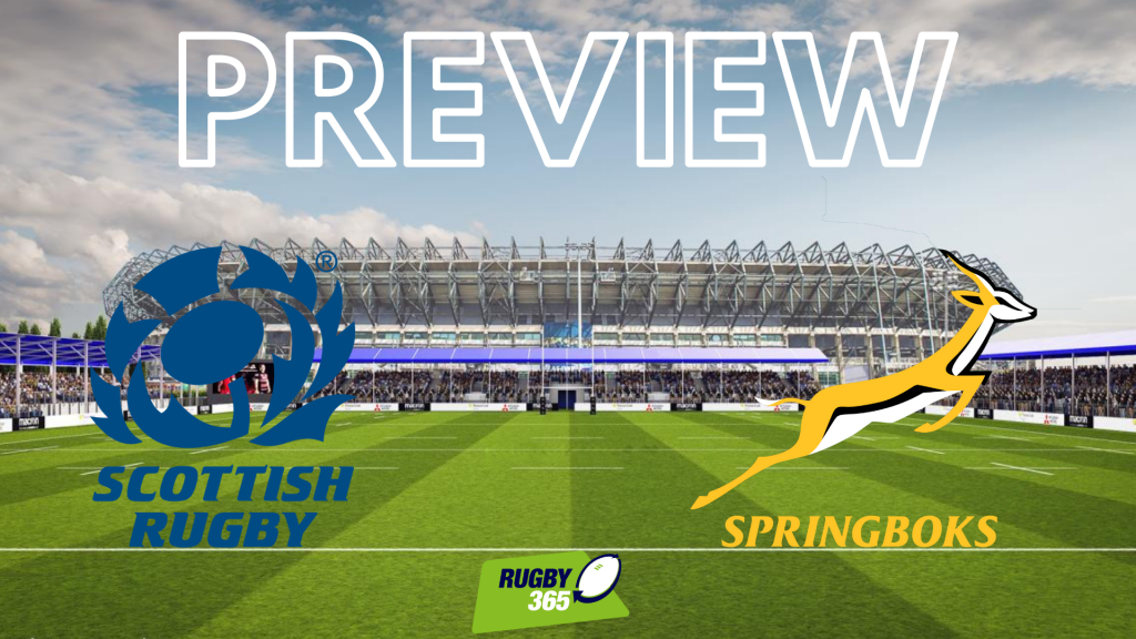 Preview Scotland v South Africa scotland Rugby365