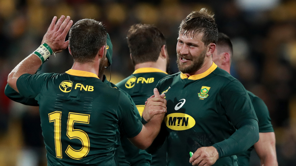 VIDEO: Why Boks look up to the Steyns