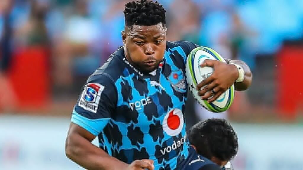 Blue bulls outlet vs pumas prediction