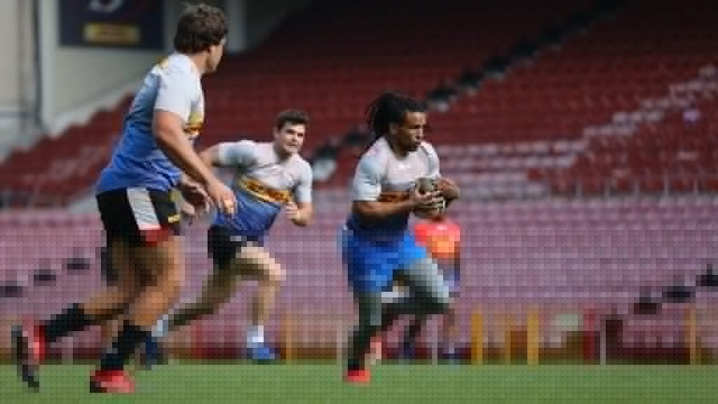 Stormers load up on SpeckMagic for Bulls