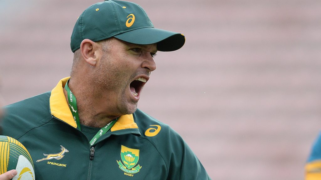 Enthusiastic Boks have 'solid foundations'