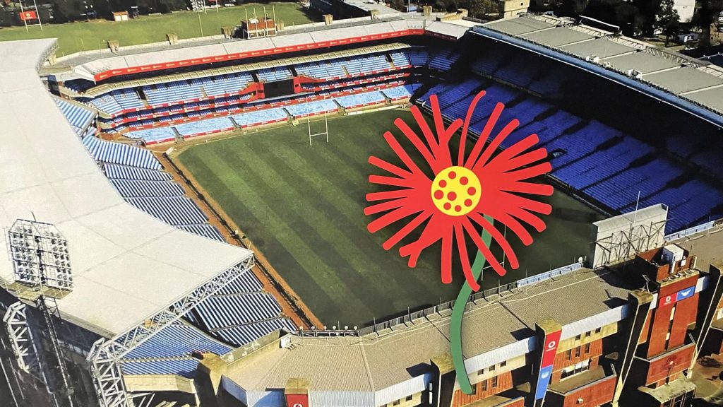 Bulls lure another Bok back to Loftus