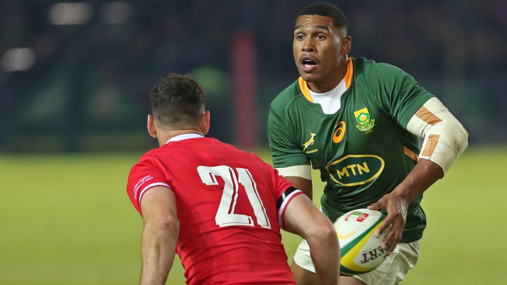 VIDEO: The Willemse 'project' paid dividends