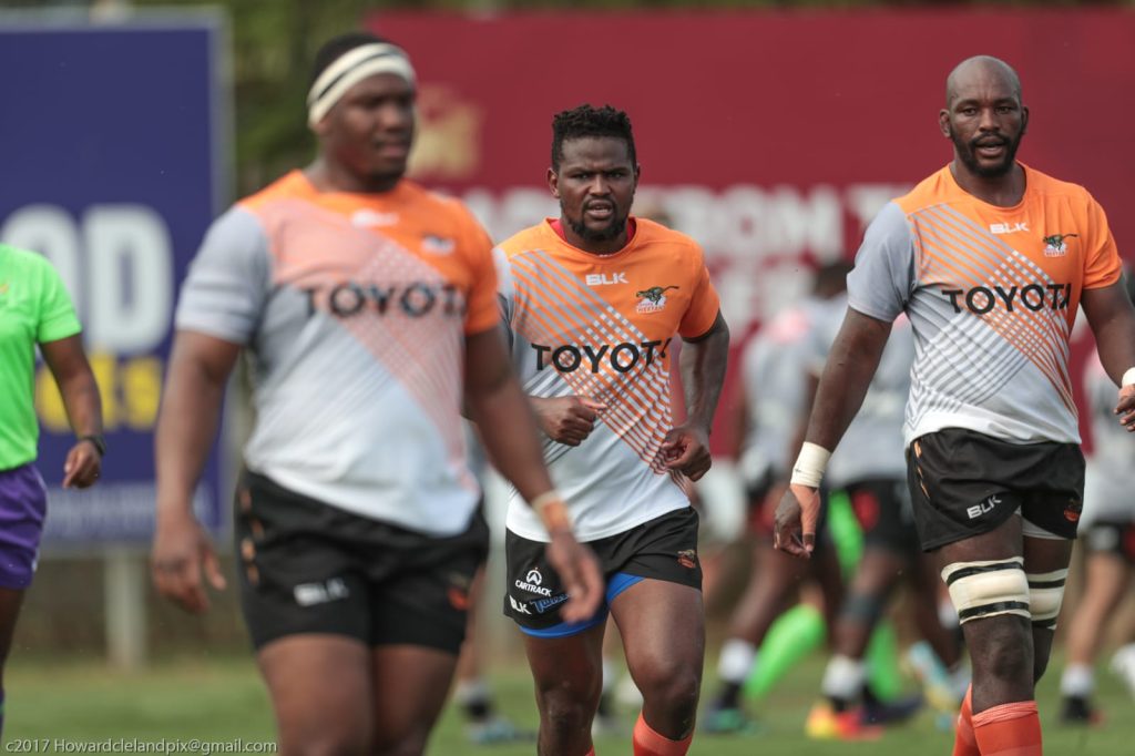 Cheetahs: 'Exactly what we were looking for'