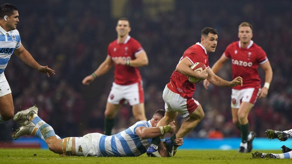 Wales bring Argentina back down to earth