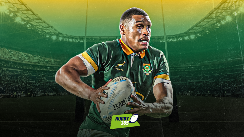 https://rugby365.com/wp/wp-content/uploads/2023/07/R365-Damian-Willemse-1024x576.png