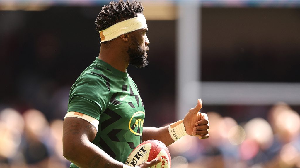 player-ratings-south-africa-rugby365