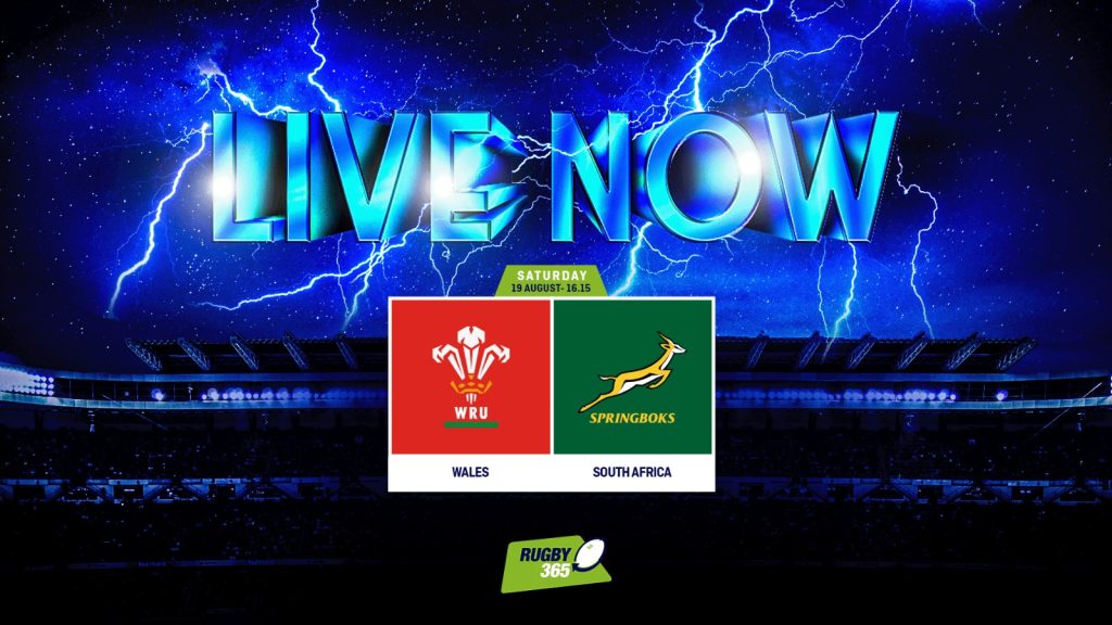 Wales v South Africa RECAP International south africa Rugby365