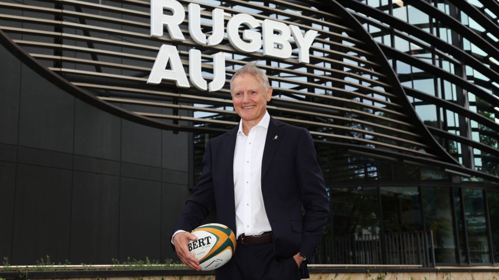 https://rugby365.com/wp/wp-content/uploads/2024/02/Joe-Schmidt-1024x576.jpg