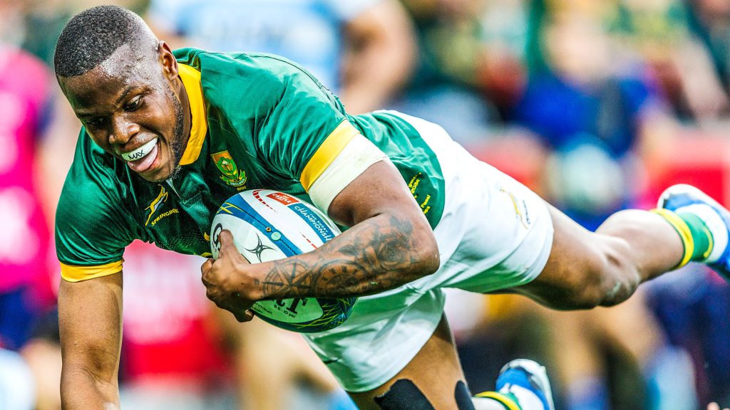 VIDEO: 'Everyone trust Rassie's plan' - south africa | Rugby365