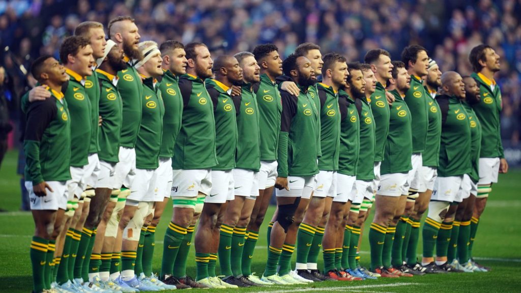 Springboks' top dog status under threat argentina Rugby365