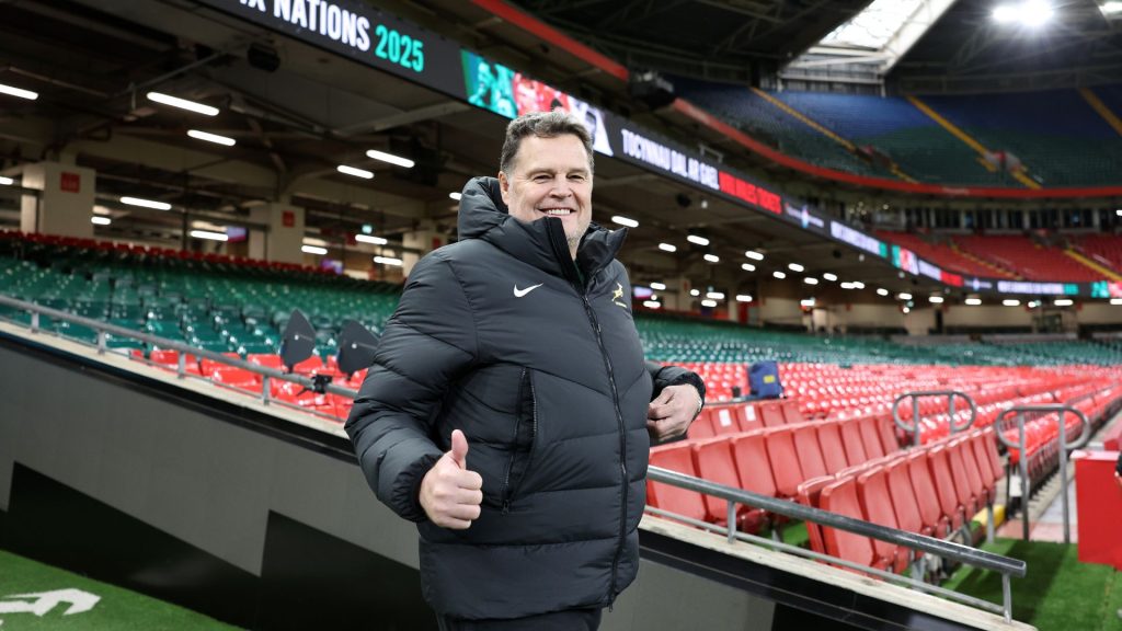 Boks Office: The top candidates to fill Rassie's shoes