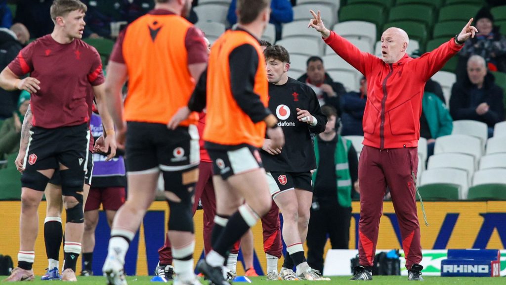 Tandy to trim Wales squad before Boks Nations Championship clash ...