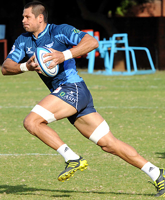 Lappies gets openside role