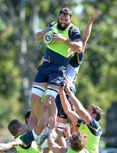 Cheika's selection 'headaches'