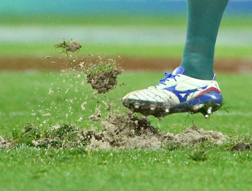 AAMI Park gets an A from Rebels